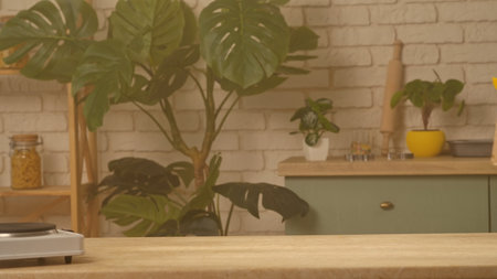 Cozy Kitchen Interior Design with Lush Green Plants