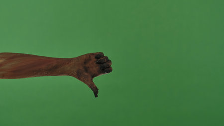 A creepy zombie hand gives a thumbs down gesture