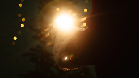 Santa Claus with a glass of champagne illuminated by the bright lights of the Christmas tree. Festive mood on the eve of New Year Eve.の写真素材