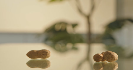 Close up of peanuts in shells scattered on a reflective surface with a soft, natural light background.の写真素材
