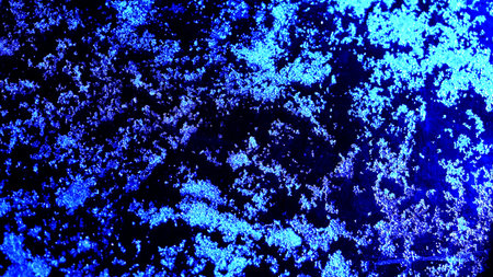 An abstract image featuring snow and frost patterns on glass, illuminated by a captivating blue...