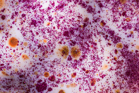 Abstract background of pink and golden glitter scattered over white liquid paint, creating a bright...