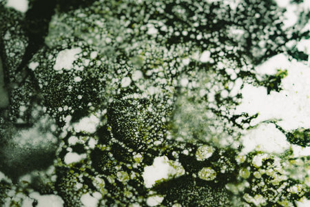 Abstract background of green and white marble paint divorces and bubbles floating on liquid surface,...