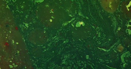 Abstract background of green paint divorces, streaks and particles suspended in liquid with many...