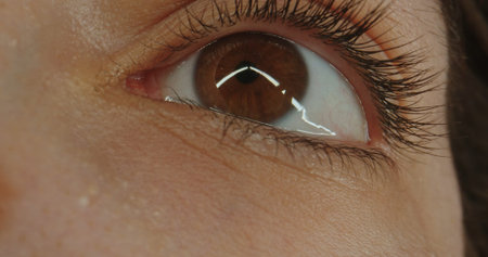 Macro shot of a brown women eye gazing upward. Concept of optics and vision, eye health, the beauty...