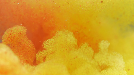 Yellow paint cloud spreading in water on a white background. Premium marketing concept for overlay...