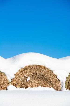 Snowy wheat roll and blue skyの写真素材