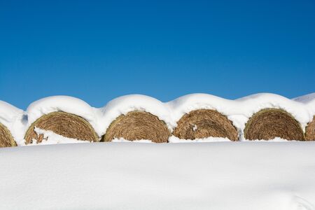 Snowy wheat roll and blue sky