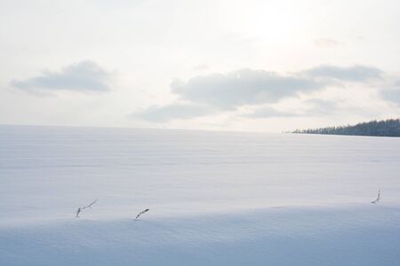 Snowy fieldの写真素材