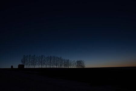 Early Spring Dusk and Winter Groves in Bieiの写真素材