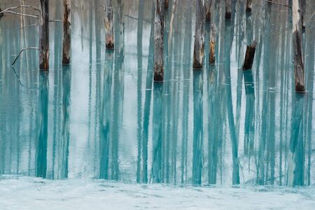 Spring blue pond with melting ice in Bieiの写真素材