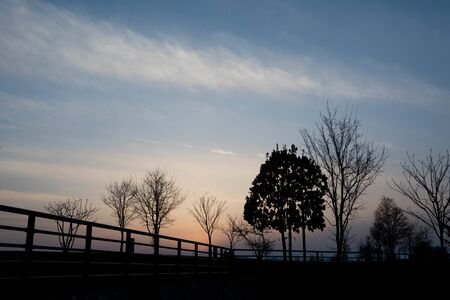 Park at sunsetの写真素材