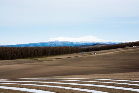 Spring field and mountains with remaining snowの写真素材