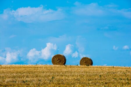 Wheat field after mowing with balesの写真素材
