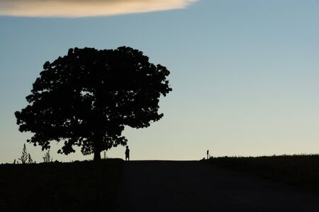 Boy standing under the big tree against the twilight sky