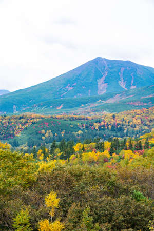 Colorful autumn forests and alpine peaksの写真素材