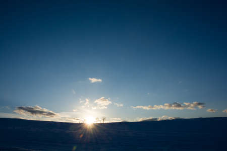 Beautiful sunset clouds and winter grovesの写真素材