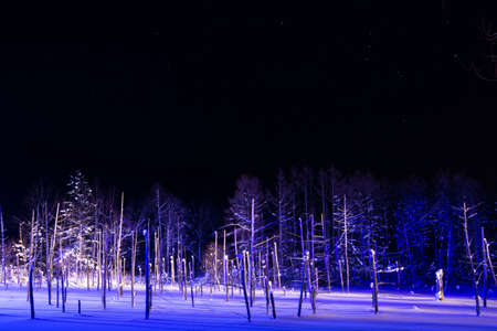 Illuminated snow-covered lake at night with Orion in Bieiの写真素材