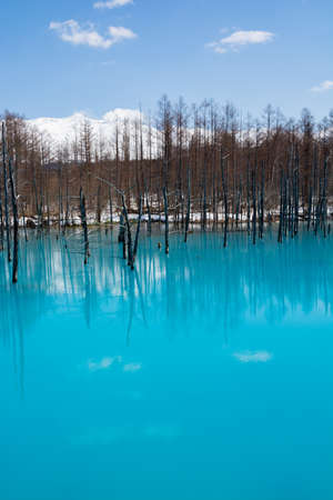 Spring blue pond with snow in Bieiの写真素材