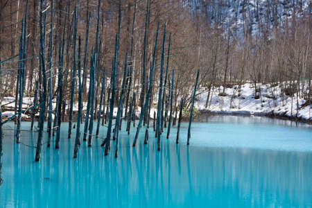 Spring blue pond with snow in Biei
