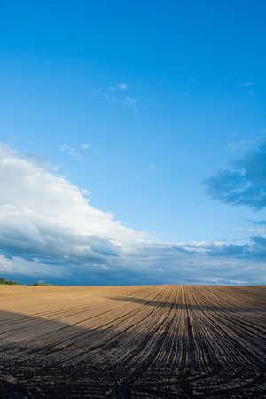 Finished harvesting fields at duskの写真素材