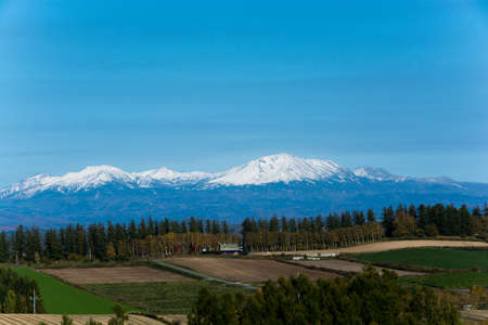 Autumn field and snowy mountains