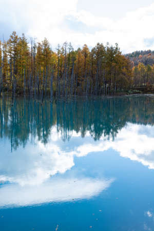 Autumn blue pond reflecting the blue skyの写真素材