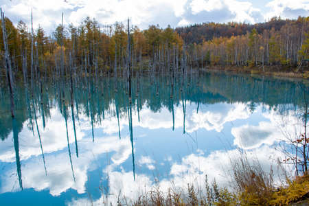 Autumn blue pond reflecting the blue skyの写真素材