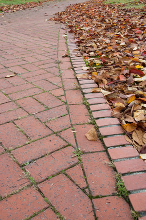 Brick road with dead leavesの写真素材