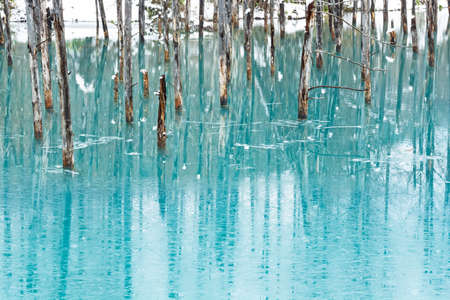 Winter blue pond that has begun to freezeの写真素材