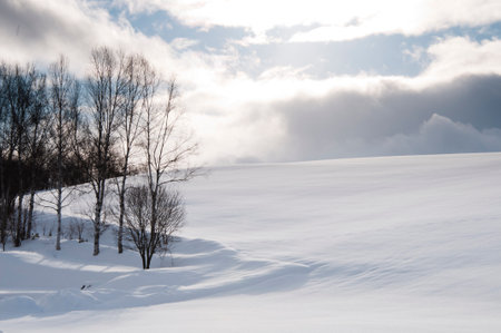 Snow-covered hills in the sunshine.