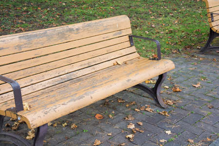 Wooden bench in autumn parkの写真素材
