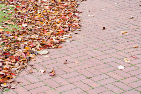 Brick road with dead leavesの写真素材