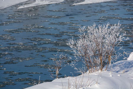 Riverbank on a cold winter morningの写真素材
