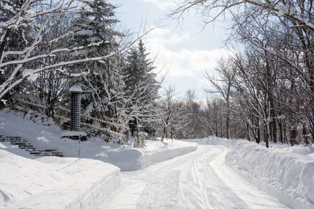 Winter park covered with deep snow