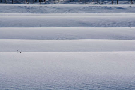 Shadow of rice terraces with snowの写真素材