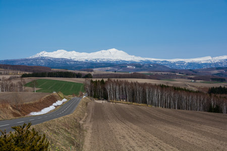 Hilly upland fields and snowy mountains on a sunny spring dayの写真素材