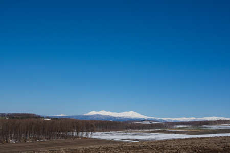 Upland field where snow remains and snowy mountainsの写真素材