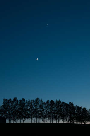 The crescent moon and Venus at dusk in springの写真素材