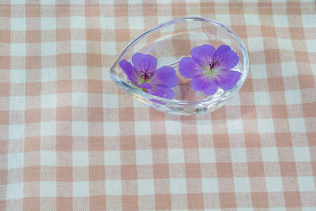 Purple geranium that floated on a glass containerの写真素材