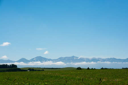 Green meadows and mountains on a sunny day in summer