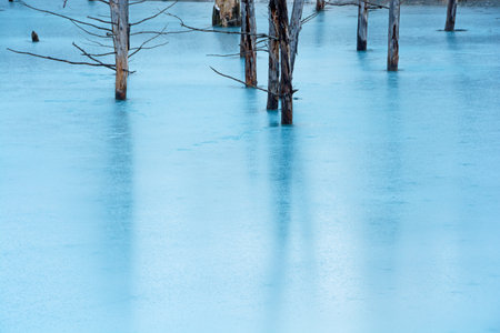 The surface of the blue pond in winter