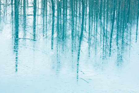 Winter blue pond that has begun to freezeの写真素材