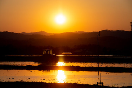 Tractor in paddy field at dusk in springの写真素材