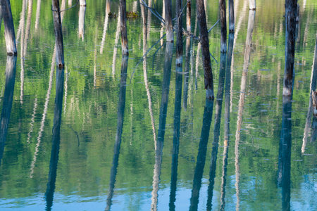 The surface of a blue pond that reflects the fresh green mountains of springの写真素材