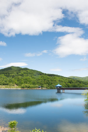 Lake reflecting beautiful fresh greeneryの写真素材