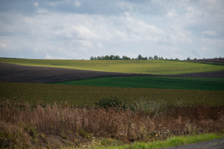 agricultural field in the autumn season with blue sky and clouds