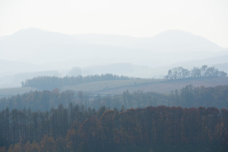 Autumn landscape with trees and foggy mountains in the background.の写真素材