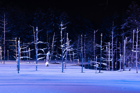 Illuminated fantastic winter blue pond in Bieiの写真素材