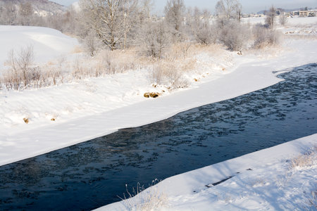 Trees in the early winter morning when hoarfrost shines. River in winter. River in winter. winter...
